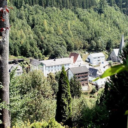 Gasthof Rodachtal mit Gästehaus Katharina Schwarzenbach am Wald Exterior foto