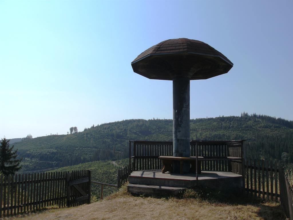 Gasthof Rodachtal mit Gästehaus Katharina Schwarzenbach am Wald Exterior foto
