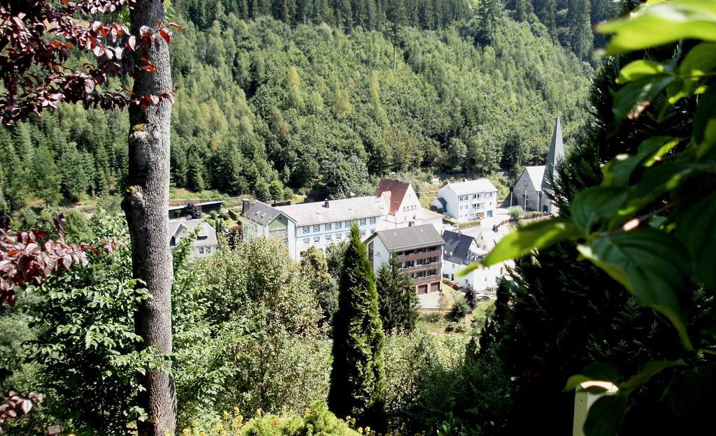 Gasthof Rodachtal mit Gästehaus Katharina Schwarzenbach am Wald Exterior foto